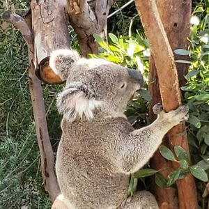 Meet your Posher, Jerry